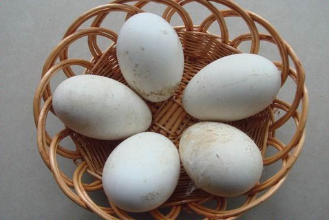 孕妇吃鹅蛋去胎毒