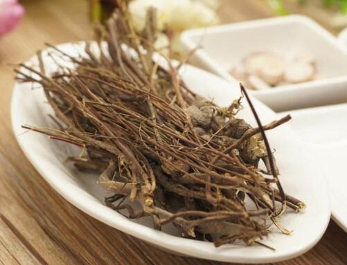 鸡骨草的功效与作用【鸡骨草的功效与用法】