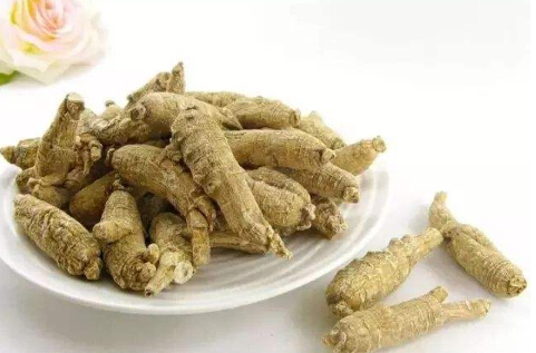 细说那些飘洋过海的——西洋参的功效与作用