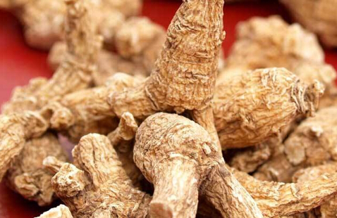 细说那些飘洋过海的——西洋参的功效与作用