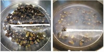 浅谈田螺怎么做好吃之九层塔炒田螺的做法