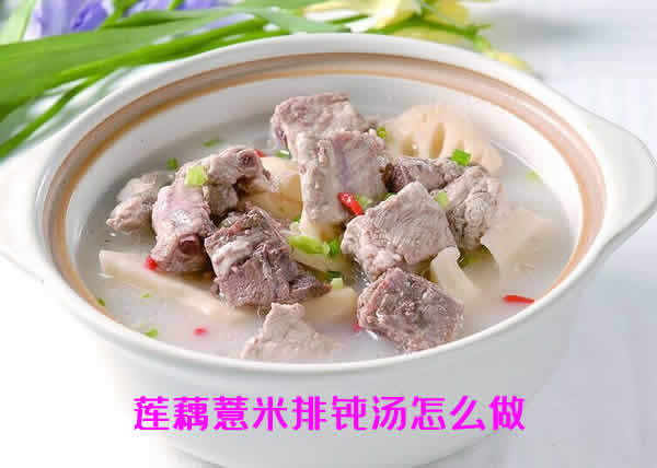 既美味可口，又有助于调理身体的莲藕薏米排骨汤怎么做