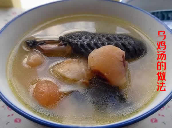 乌鸡汤的功效及乌鸡汤的做法介绍