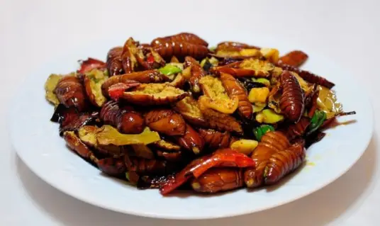 美味又营养丰富的家常版干煸蚕蛹