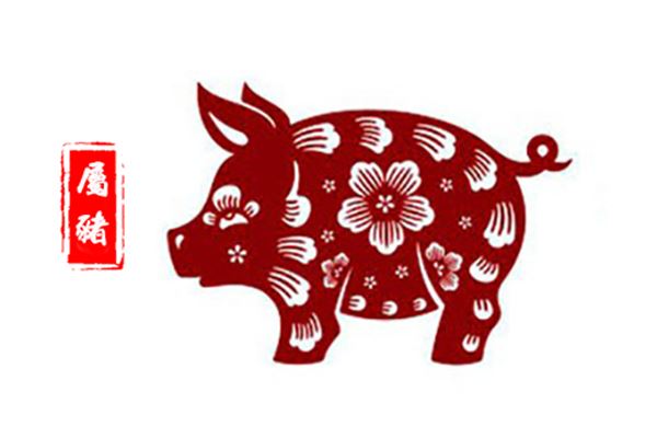 属猪的今年多大，属猪年份与命运解析