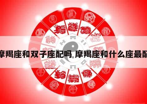 摩羯座和双子座配吗 摩羯座和什么座最配