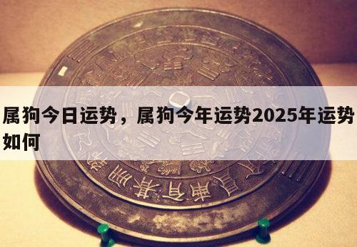 属狗今日运势，属狗今年运势2025年运势如何