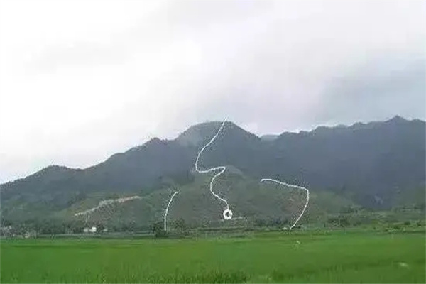 今天是什么日子老黄历,带你了解老黄历的魅力